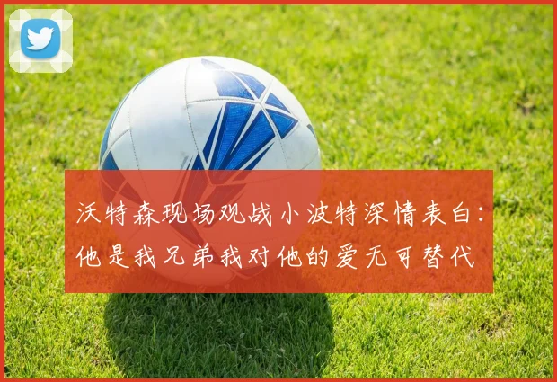 沃特森现场观战小波特深情表白：他是我兄弟我对他的爱无可替代