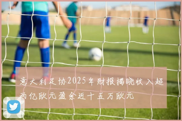 意大利足协2025年财报揭晓收入超两亿欧元盈余近十五万欧元